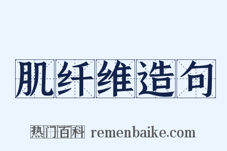 肌纤维造句是什么意思的图片